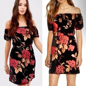 Moon River Black and Red Velvet Floral Mini Dress